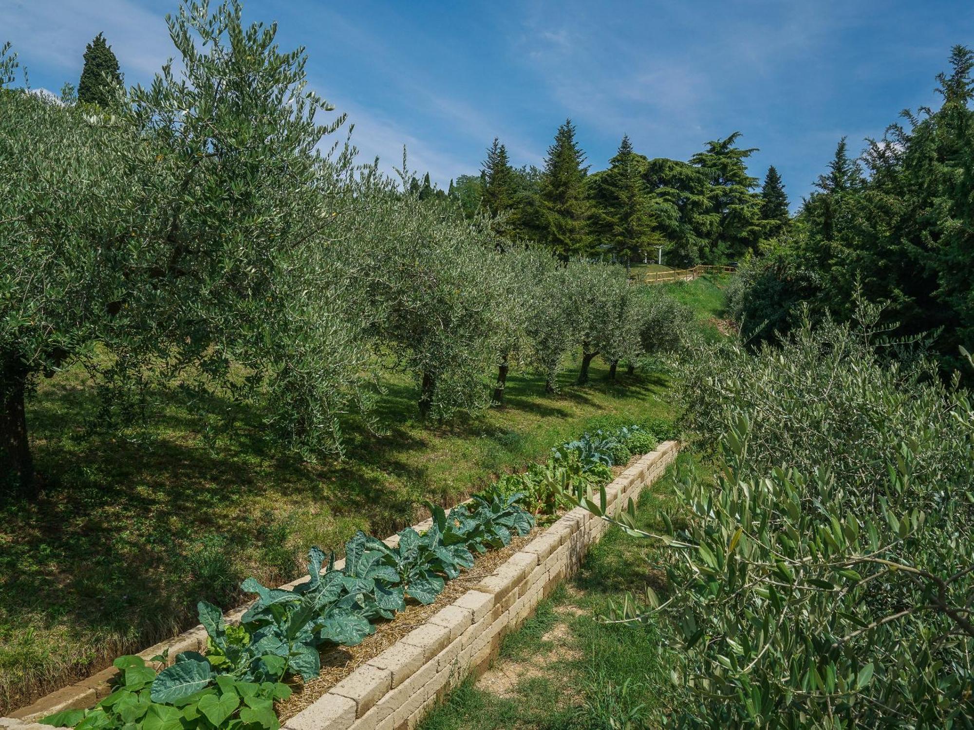 Ca Toresele Relais Osteria Garden 베로나 외부 사진
